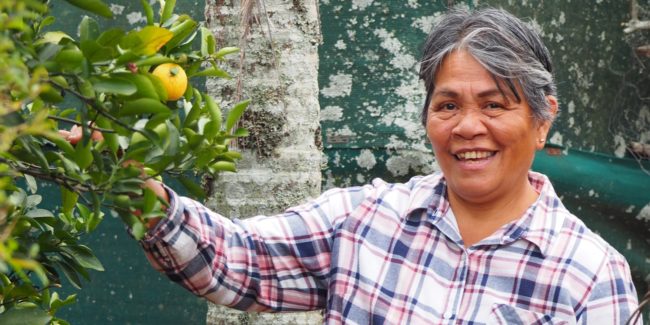 Woman smiling and picking fruit from a tree in her yard