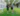 Brisbane Heat cricket videos
