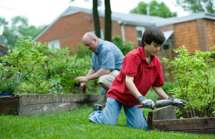 father and son gardening