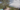DES Google Maps Street View - Noosa