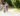 A mum and dad are riding bikes with a young boy on an off road track.