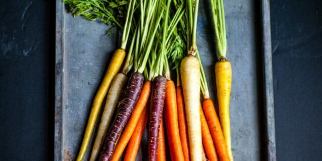 Orange and yellow fresh carrots with green stalks still attached