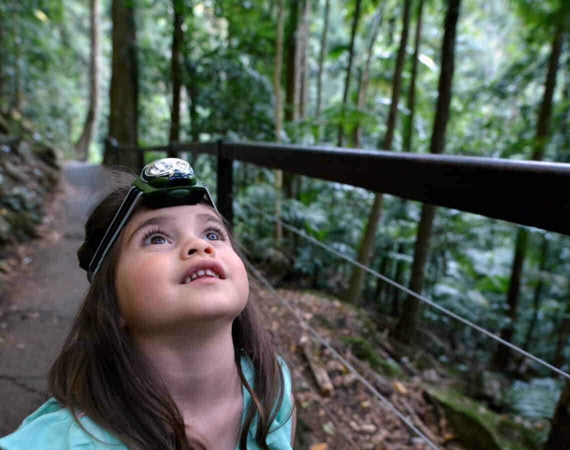 Young girl wearing a head lamp is looking up at the surrounding trees