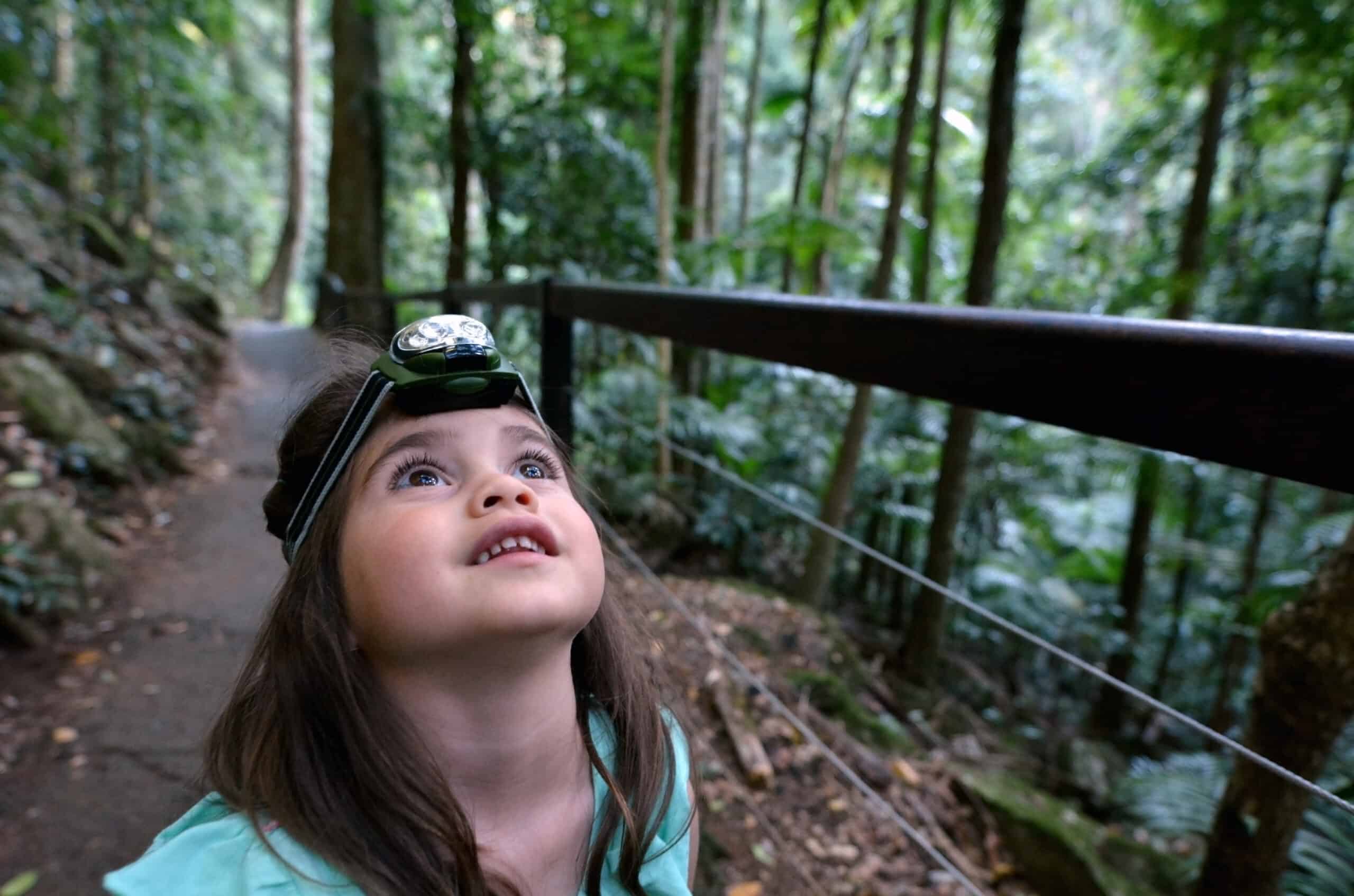 Young girl wearing a head lamp is looking up at the surrounding trees