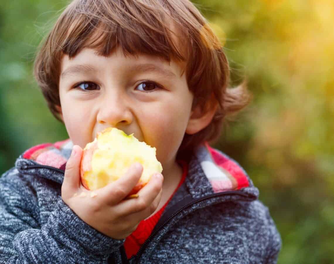 A young boy is eating a large red apple