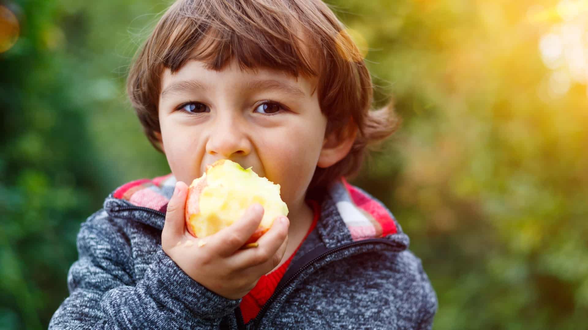 A young boy is eating a large red apple