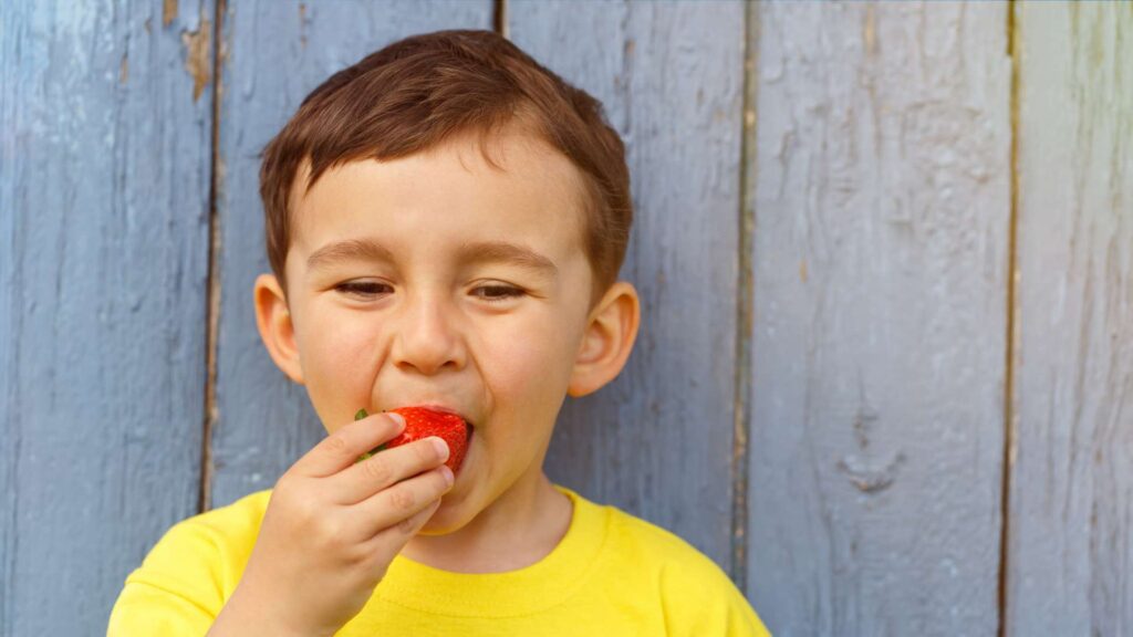 Boy in yellow shirt bites into a strawberry