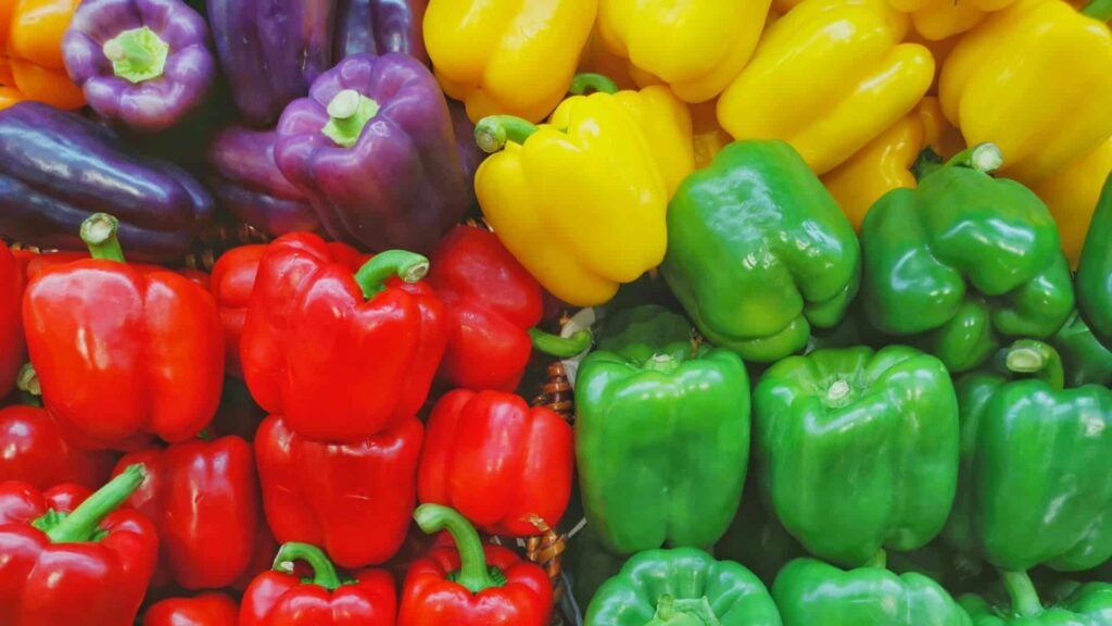 A bunch of red, green, yellow and purple capsicums.