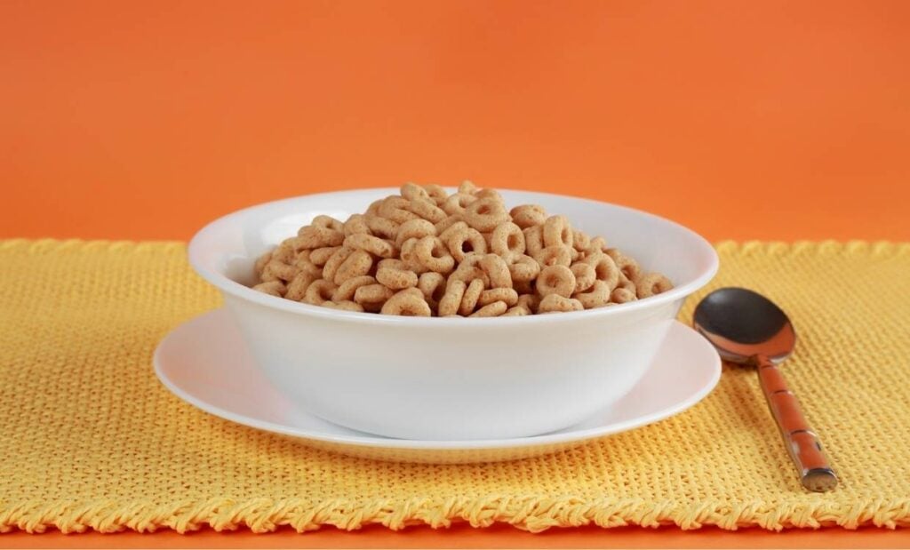 A bowl of cereal
