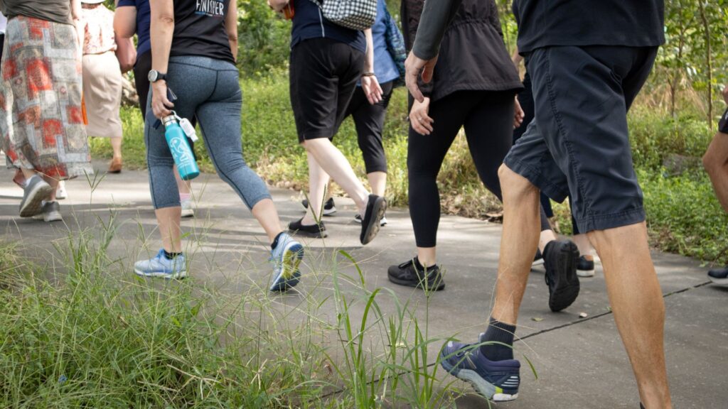 A group of people walking on a footpath