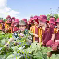 A group of school kids visiting a farm