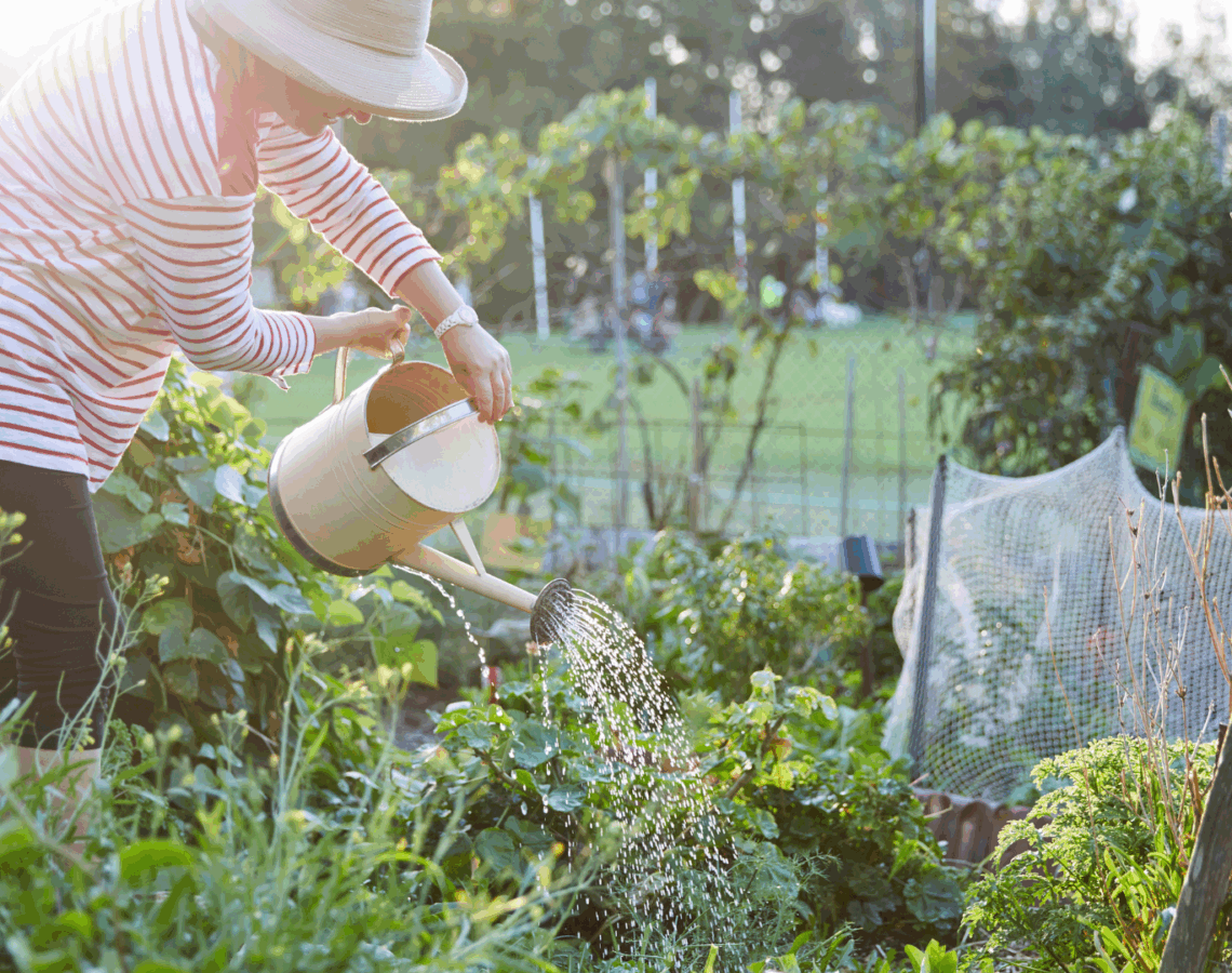 A woman is wearing a hat and watering plants in a garden