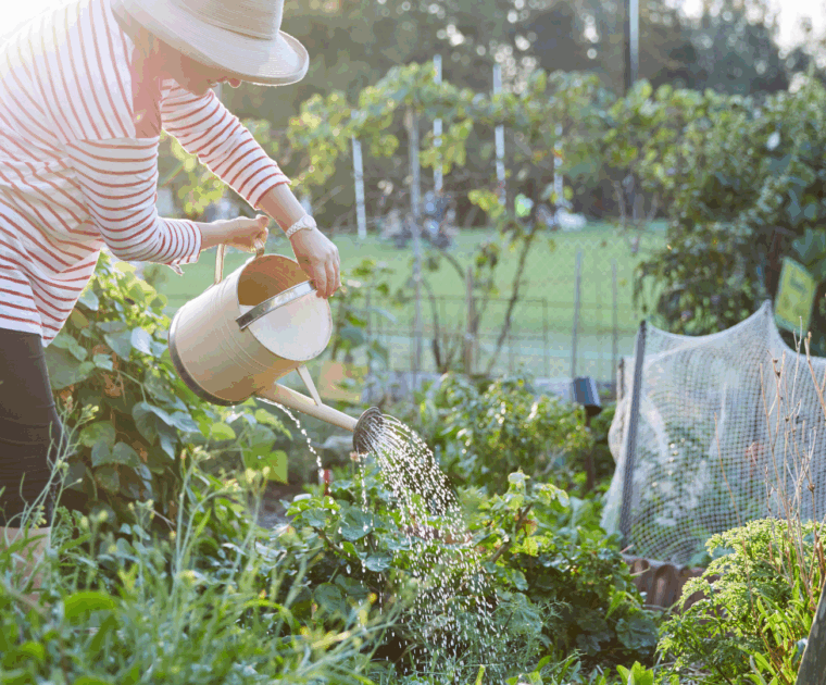 A woman is wearing a hat and watering plants in a garden