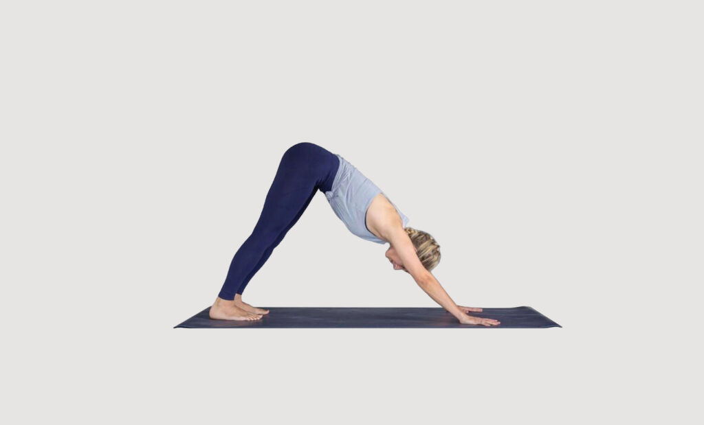 Downward Dog