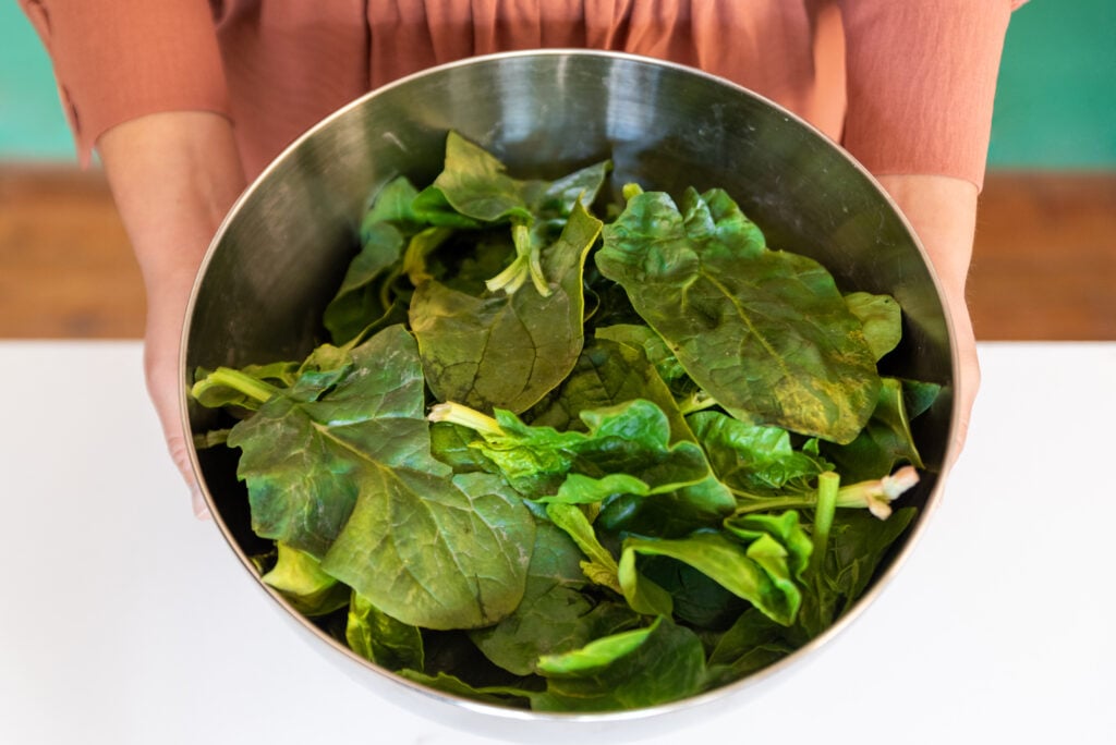 Woman holds in her hands fresh green spinach leaves in a metallic bowl .