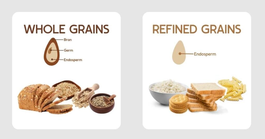 Wholegrains versus refined grains explained. Wholegrains contain the bran, germ and endosperm whereas refined grains only contain the endosperm