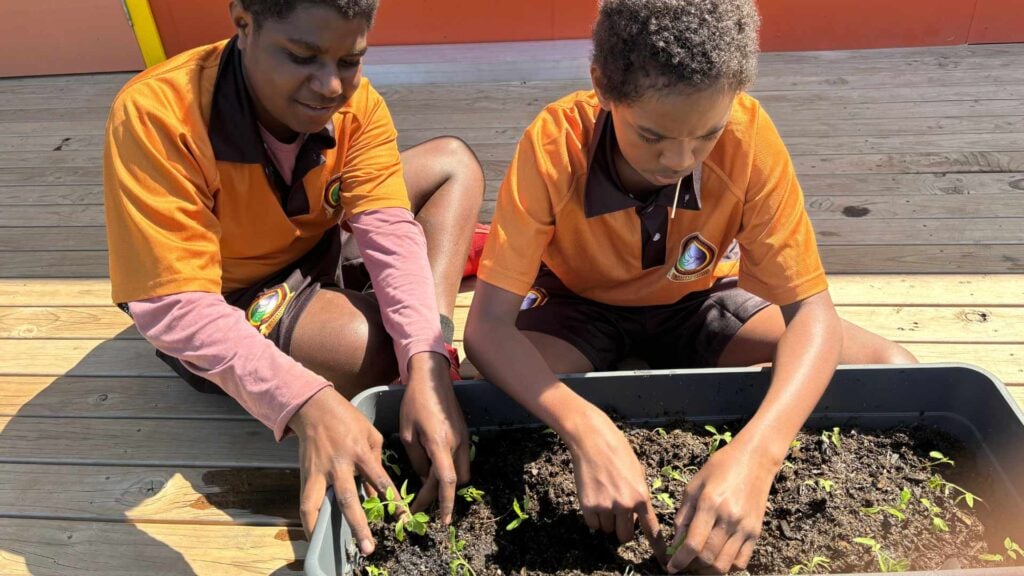 Two school aged boys plant seedlings in a plantar box