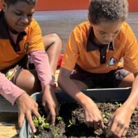 Two school aged boys plant seedlings in a plantar box