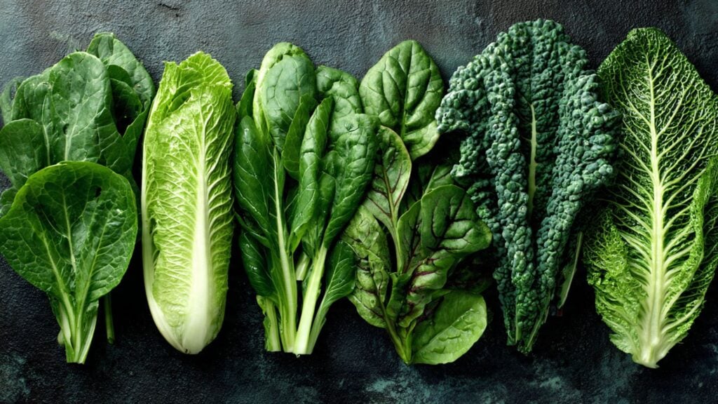 6 types of green leafy vegetables lined up