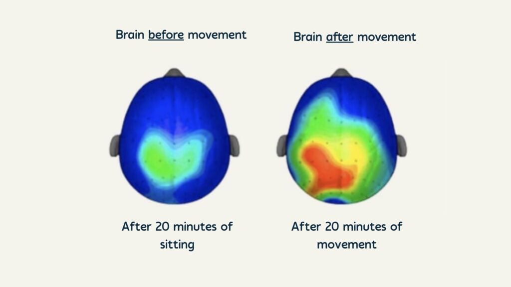 Brain activity before and after movement