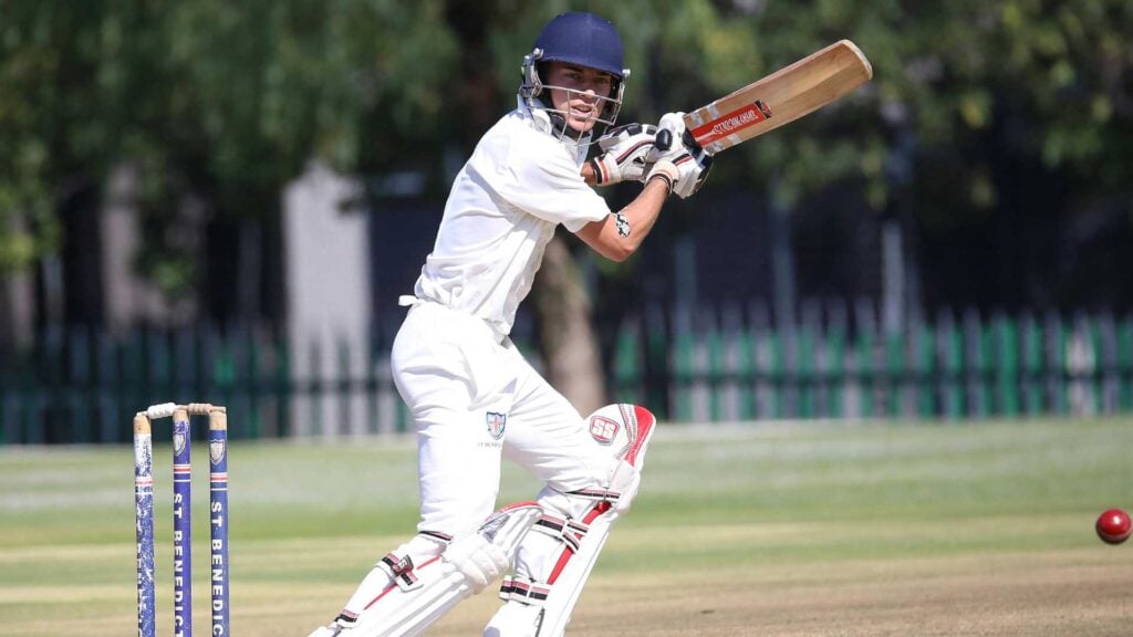 Batter playing cricket