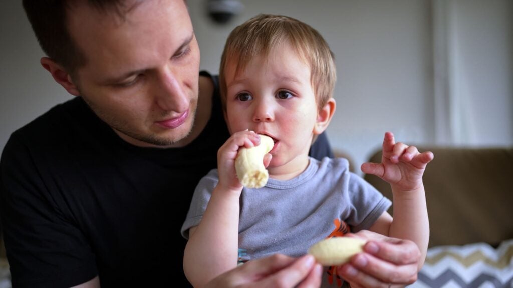 Young boy eats a banana while sitting in his father's lap