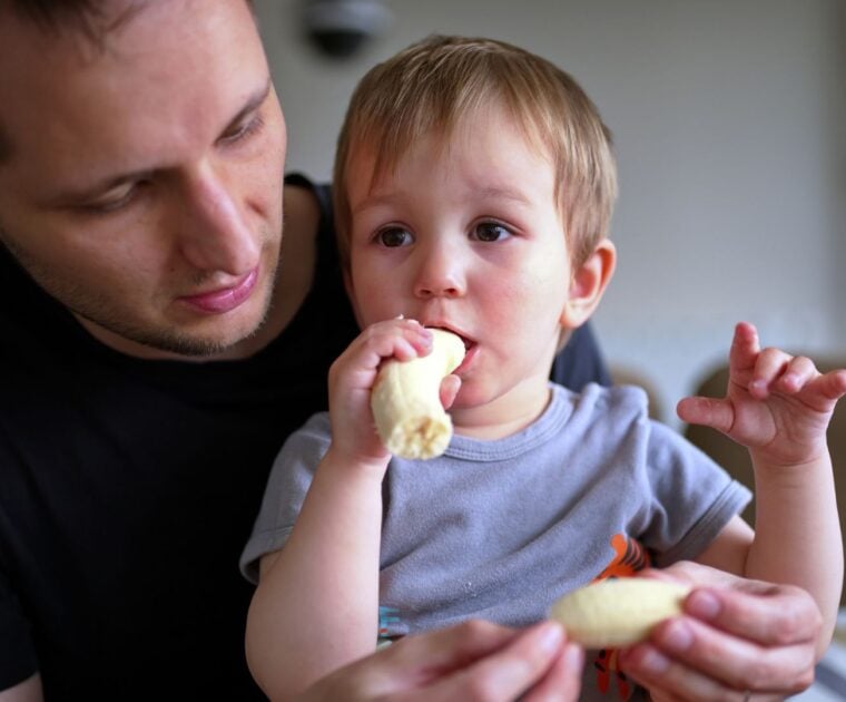 Young boy eats a banana while sitting in his father's lap