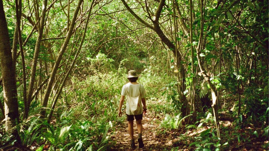 A man hikes through local bushland