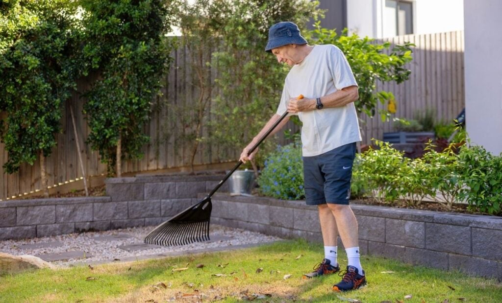 Older man rakes leaves in the garden