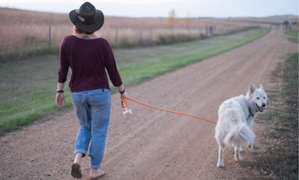 Woman walks her dog along an outback dirt road