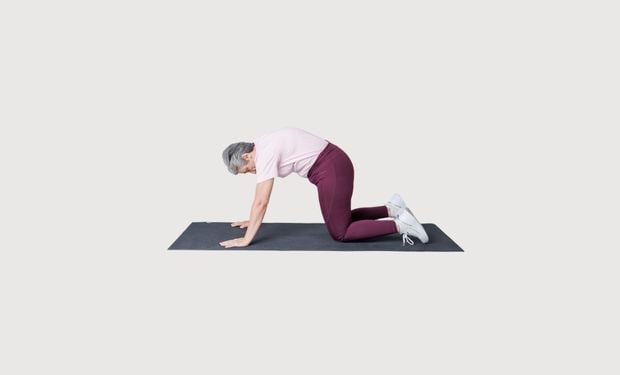 Gentle mobility - cat and cow stretch